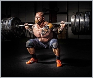 Muscle Growth