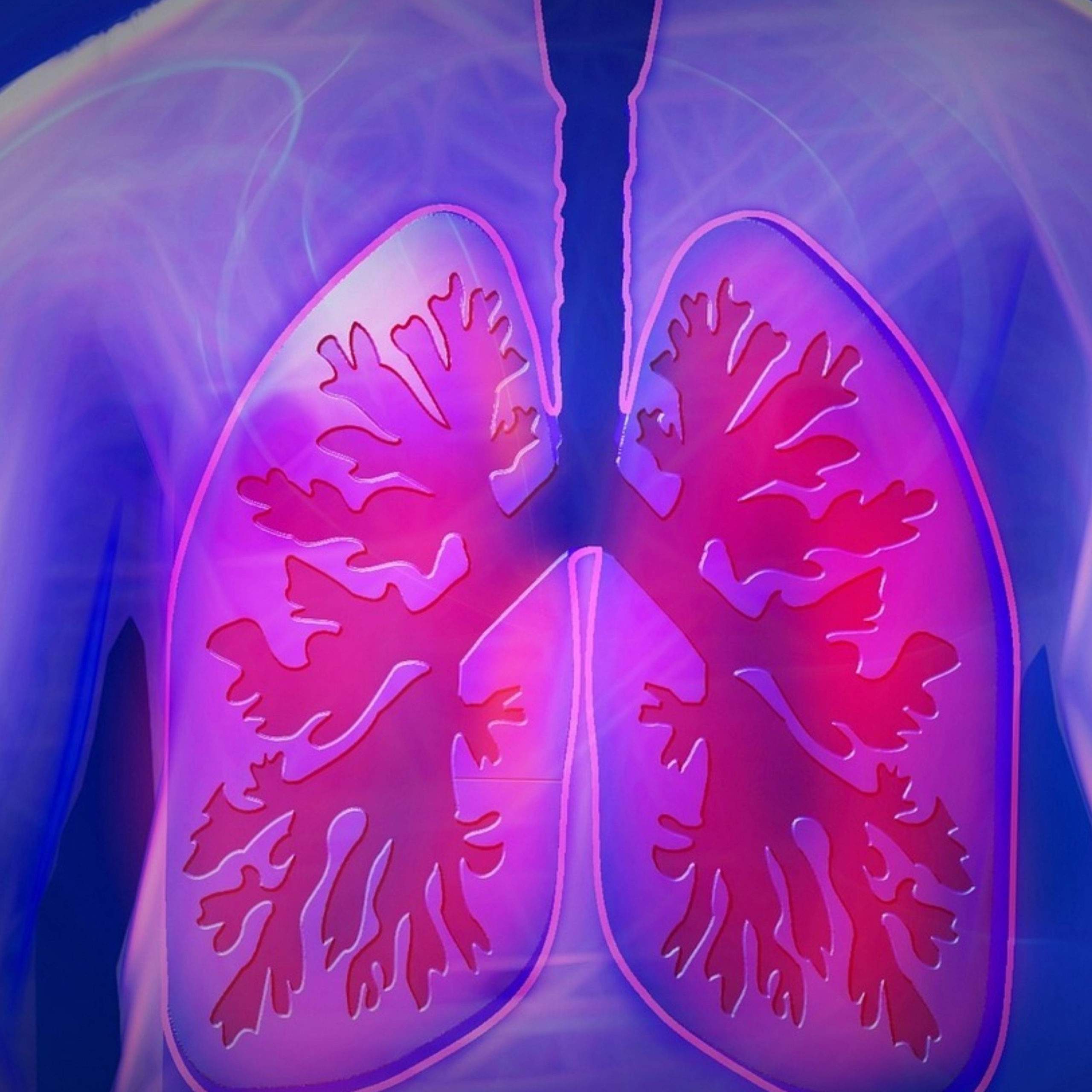 Lung Support
