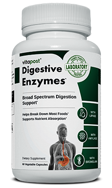 Digestive Enzymes